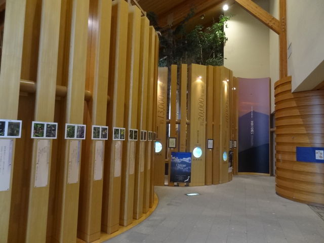 �ٓ��ʐ^_�x┌΃r�W�^�[�Z���^�[