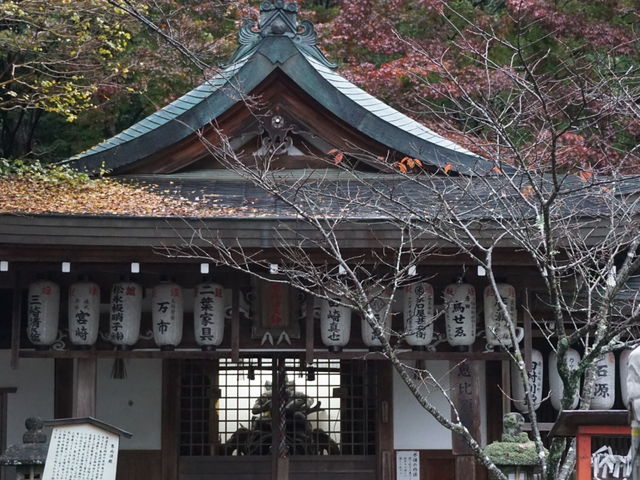 �F��ቤ�q�_��