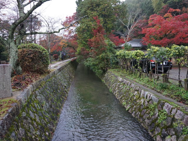 �߂��ɂ���N�w�̓�_�F��ቤ�q�_��