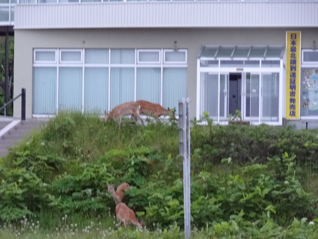 �V�J�o��_�@�J���W�]��