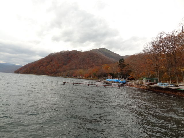 �ό��D�ɂ̂���_�x┌Ίό��D