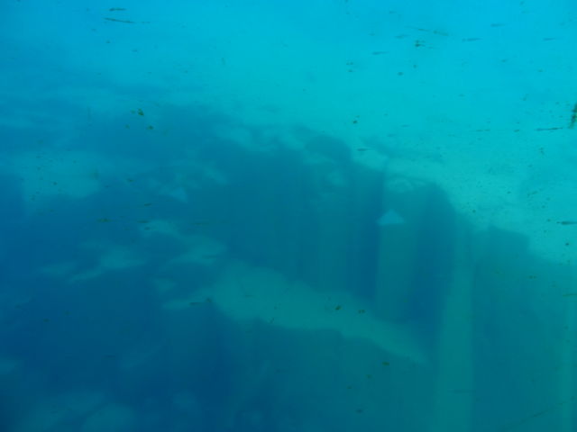 �����̂�����_�x┌Ίό��D