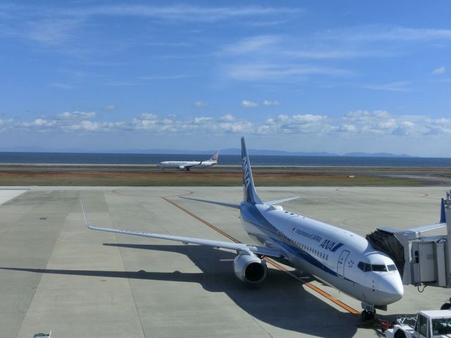 JE^[Ȃ̒߂͍ōł_XJCC