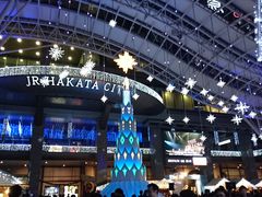 �����w�̎ʐ^1