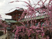 LOTTY����̖h�{�V���{�^���߂̓��e�ʐ^3