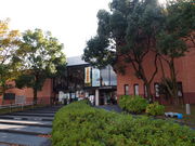 ˂񂳂̋TRsjق̓eʐ^1