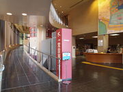 ˂񂳂̋TRsjق̓eʐ^2