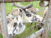 ܂낤̖ygiJCόq̓eʐ^1