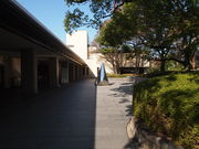 ˂񂳂̎Odpق̓eʐ^2