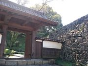 񂿂񂳂̐lgՌ̓eʐ^1