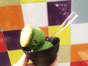 pJ̃peBX[ET_nEAILEpEaJqJGErpX̓eʐ^2