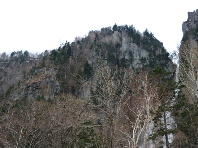 ��͂̑�_��͂̑�