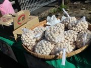 pontȃc]̃C`Et̓eʐ^1