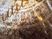 ~ÑT h VF[ S֋X̓eʐ^1