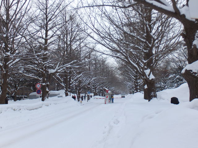 �^�~�̃C�`���E����_�k��C�`���E����