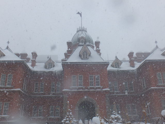 �Ⴊ�����Ă��܂���_�k�C�������{����(�Ԃ�񂪒���)