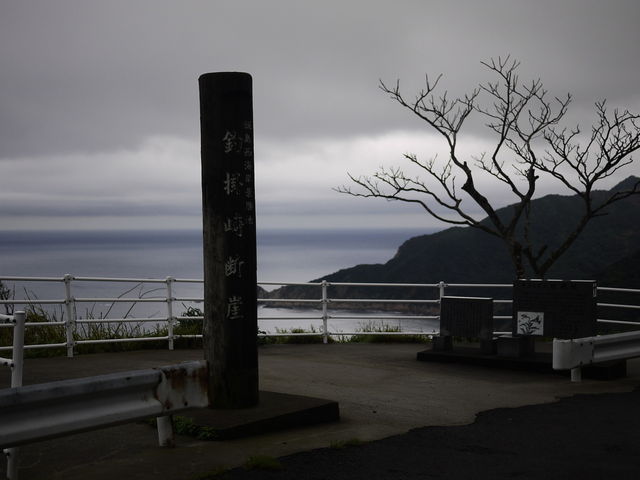 sklfh����̒ފ|��f�R�̓��e�ʐ^1