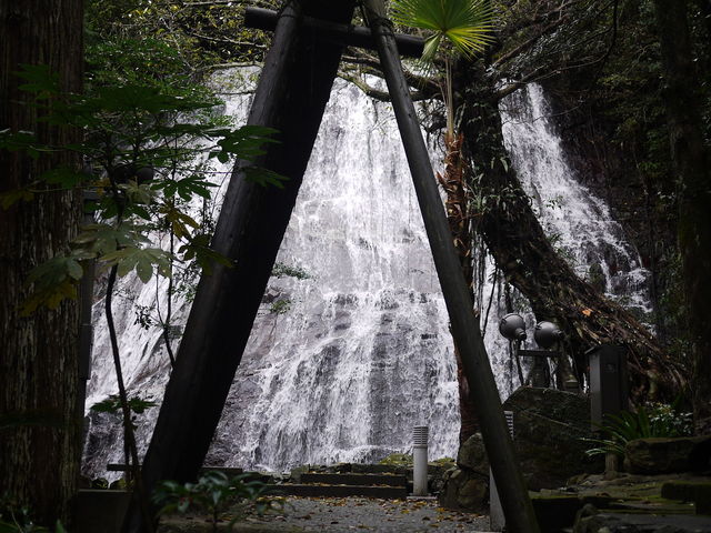 sklfh����̐����ω��O������̓��e�ʐ^1