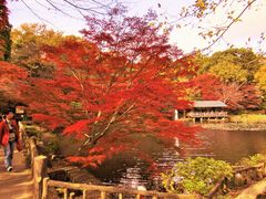 鶴亀松竹梅扇さんの東山植物園の投稿写真3