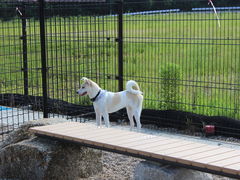 LmR̉T[rXGAijւ̓eʐ^1