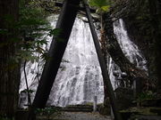 sklfh����̐����ω��O��̓��e�ʐ^1