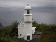 sklfh����̒ފ|�铔��̓��e�ʐ^1