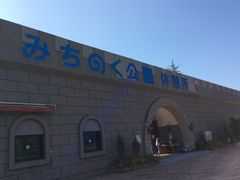 tam-tam̃^v^v̍ĉ݂m̌ΔȌւ̓eʐ^1