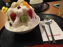 �ف[����񂳂�̒����@�Ԙk�ւ̓��e�ʐ^1