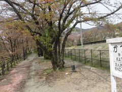 �ڂ肳��̋������w�z�[���Ղւ̓��e�ʐ^1