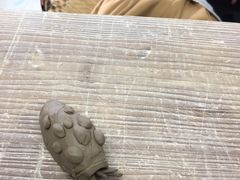 ���X�q������̋I�B�Ĉ��q�X���ւ̓��e�ʐ^1