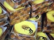 ̂̂肳̃NunGEa|ẼׂnJXߓS{X̓eʐ^1