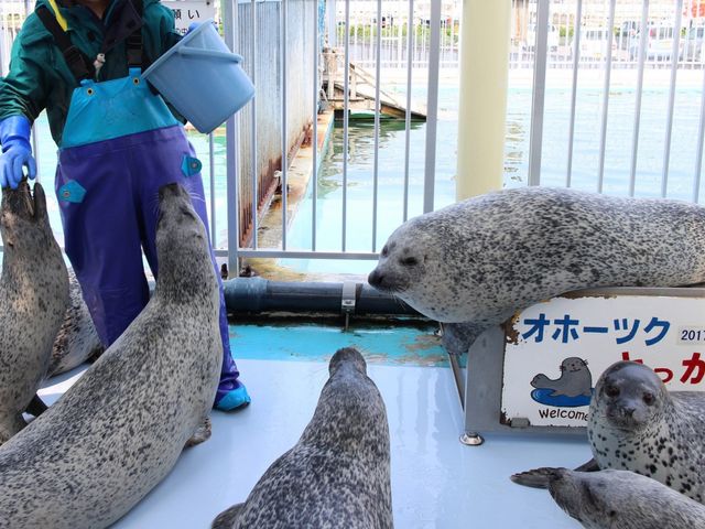 �����A�U���V_�I�z�[�c�N�Ƃ�����Z���^�[