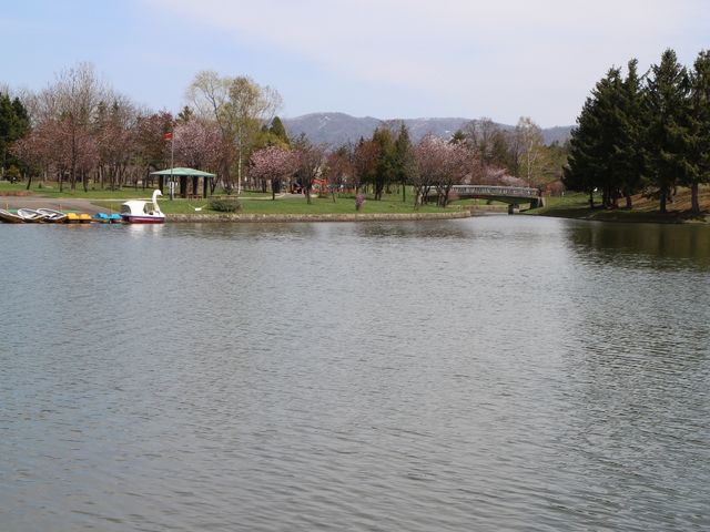 �����炢�Ă��܂�_������������