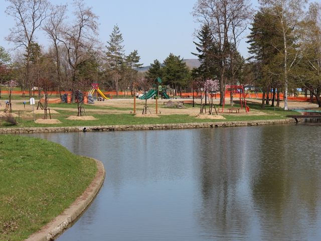 �V�������܂�_������������