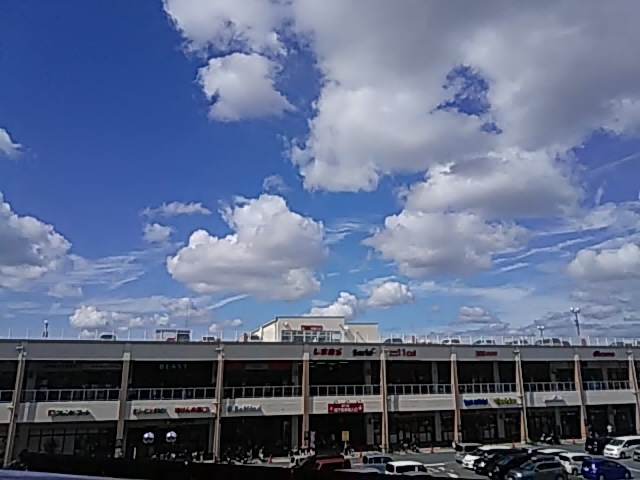 ݂̃TC[ ro[QX̓eʐ^1