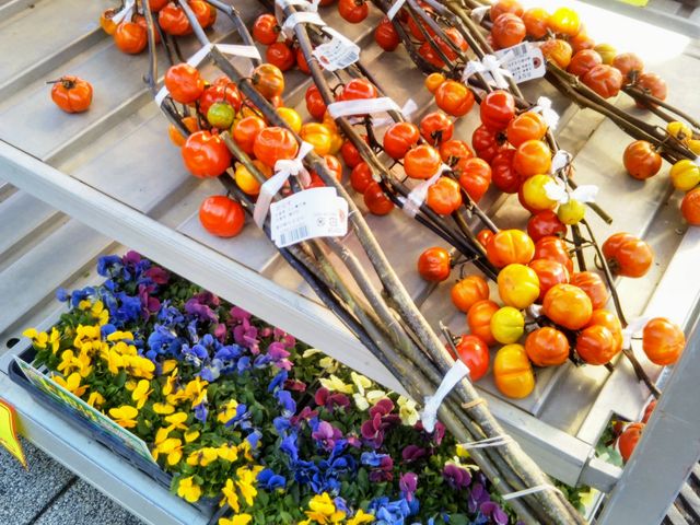 �w�ԂȂ��x_���̉w �Ȃ邳��