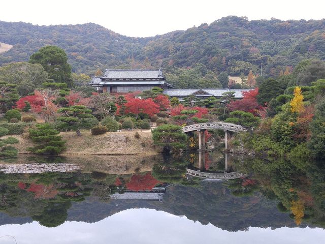 �Ђ傤����r�ɉf��뉀�Ɣw�i�̎R��������_�ї������٥�ї����뉀