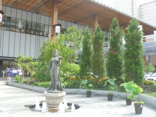 �i�q����w�@�P������_�i�q����w