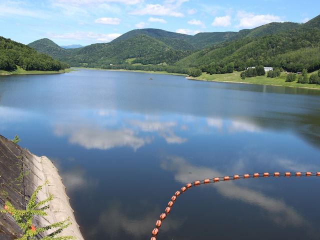 �_����_���m�q�_���Ƃ����ƌ�