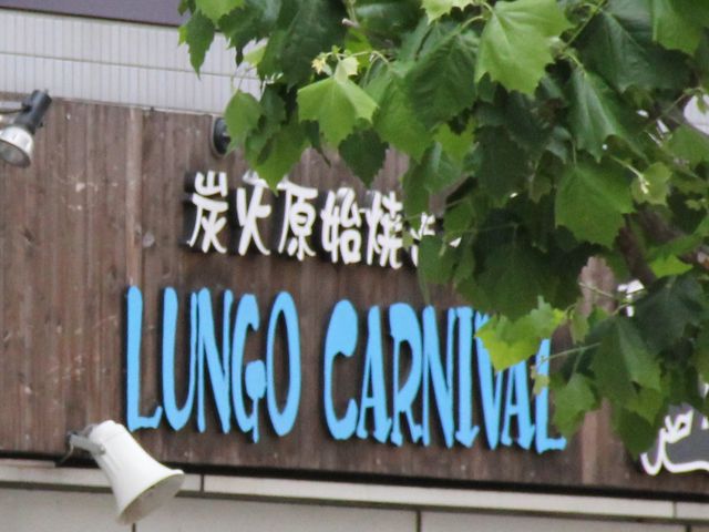 Gh̃SJ[jo nĂ {X̓eʐ^1