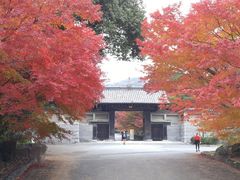 ̖ї٥ї뉀ւ̓eʐ^1