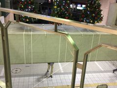 ��܂�����̍�}��؎s�w�ւ̓��e�ʐ^1