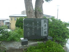 �g�V���[����̖������ւ̓��e�ʐ^1