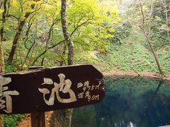 mayumix̐rւ̓eʐ^1