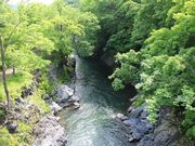 񂳂̑kJuѐ勬v̓eʐ^2