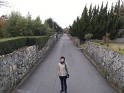 ��������̖�c�v�c������y���̓��e�ʐ^2