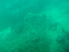 psomẽEGXg}ւ̓eʐ^1