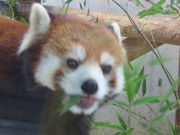 ҁ[񂳂̍ʌǂR̓eʐ^3