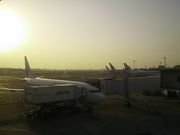 񂳂̏ʋ`όē̓eʐ^1