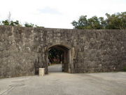 psome����̖؉g��̓��e�ʐ^1